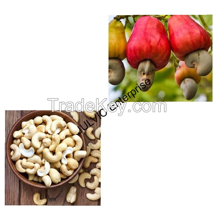 Cashew nut