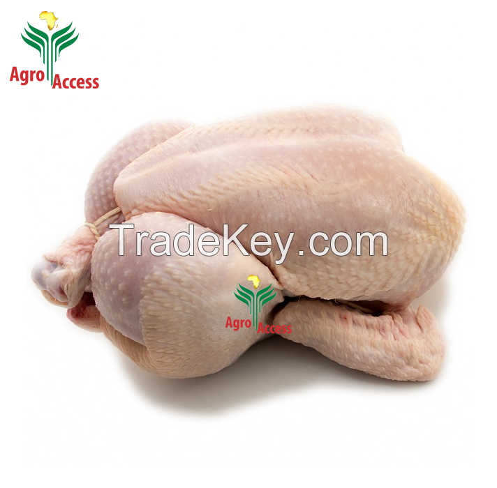 Frozen Chicken & Chicken Parts