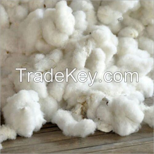 Raw Cotton