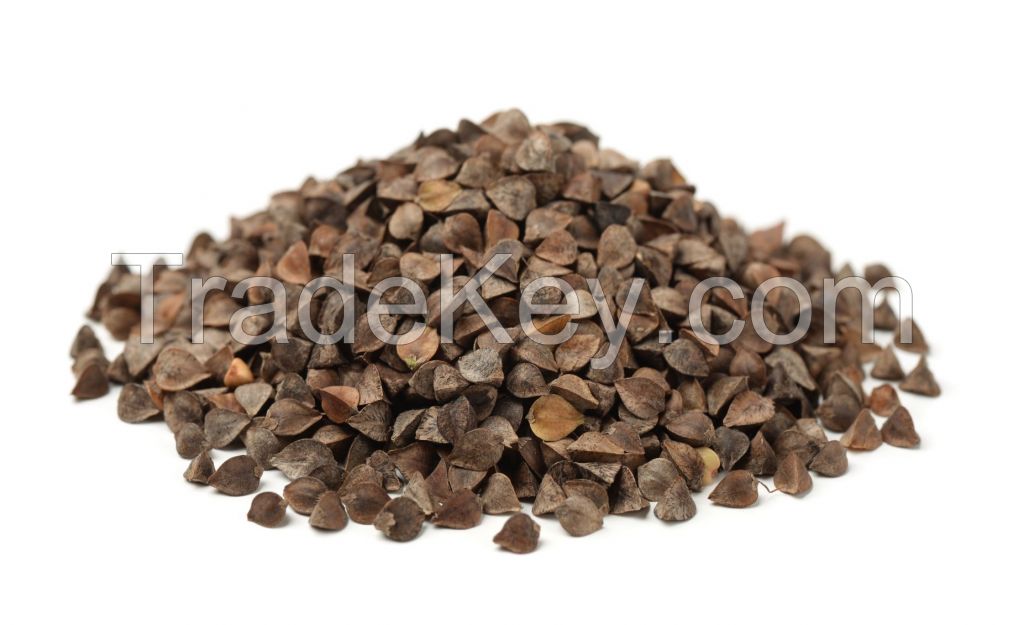 Buckwheat