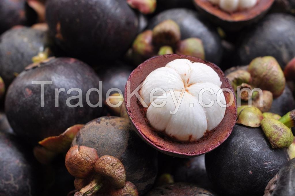 Fresh Mangosteen