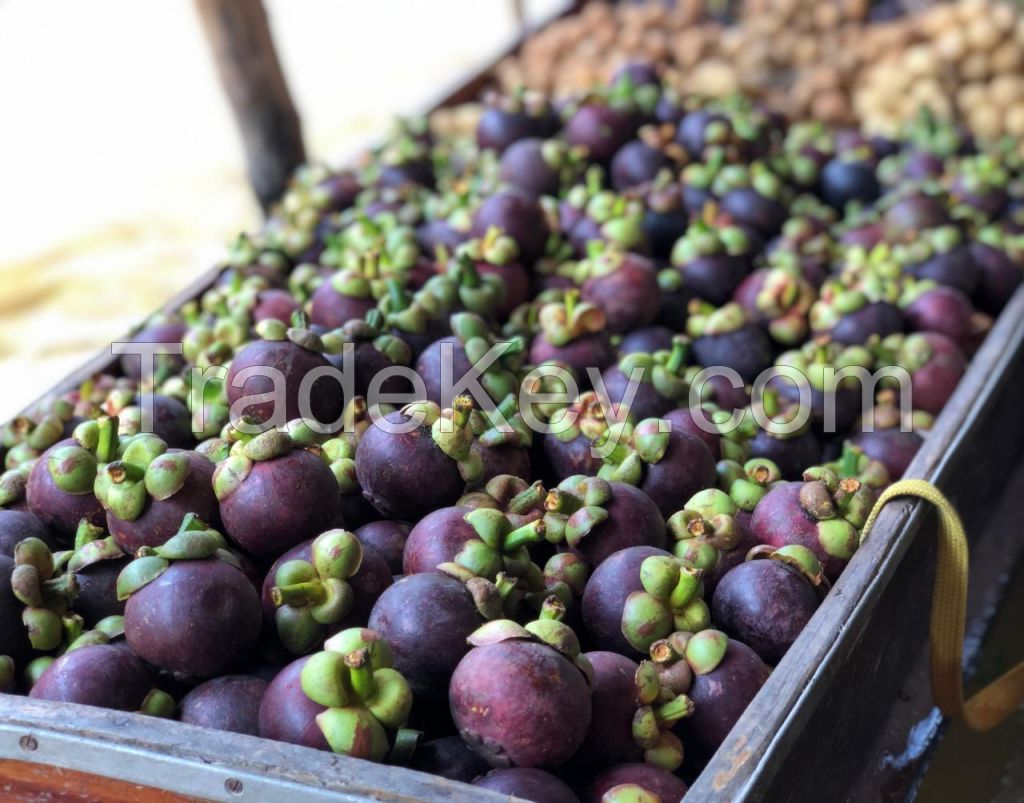 Fresh Mangosteen