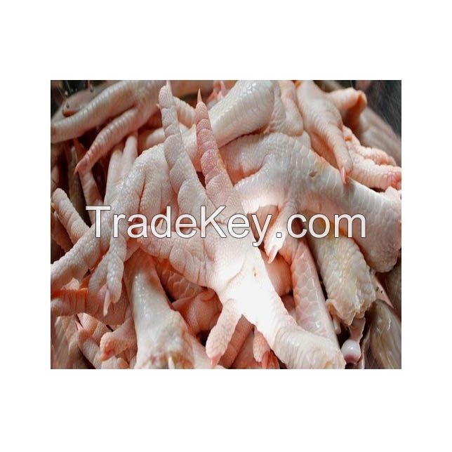 Buy premium Chicken Feet in large quantities at competitive rates