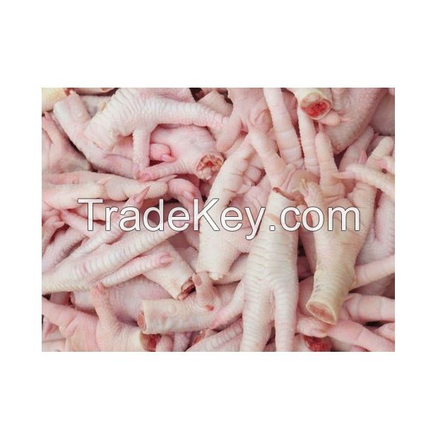 Buy premium Chicken Feet in large quantities at competitive rates