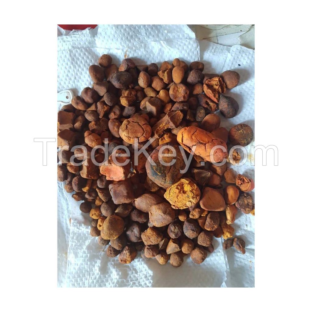 High-quality natural Ox Gallstones for pharmaceutical use