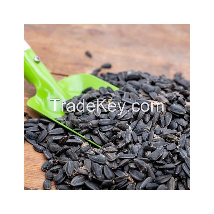 Premium raw sunflower seeds for snacking and baking