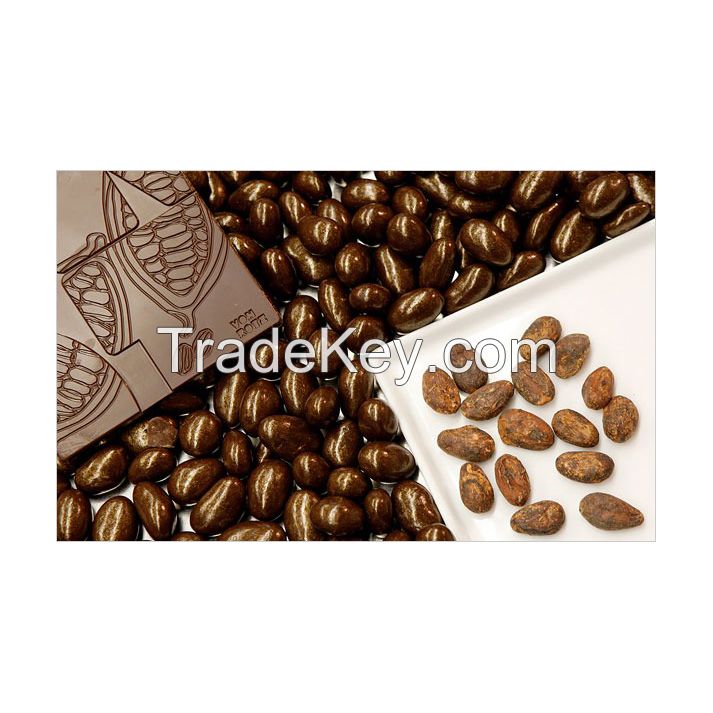 Premium cocoa beans for chocolate production in bulk supply