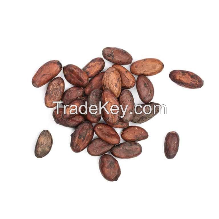 Premium cocoa beans for chocolate production in bulk supply