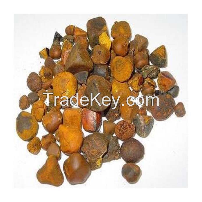 High-quality natural Ox Gallstones for pharmaceutical use