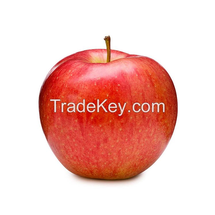Organic Red Apples for sale in large quantities