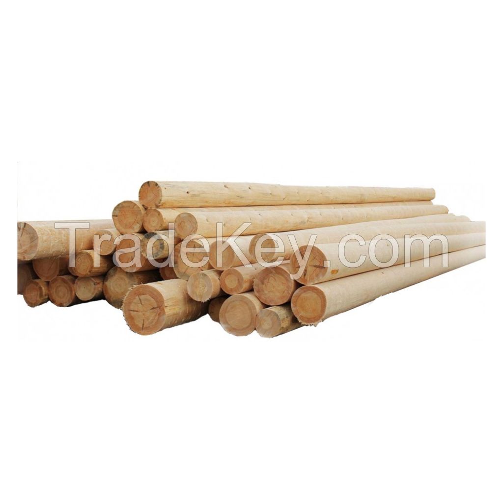 High-quality pine wood poles for construction and fencing
