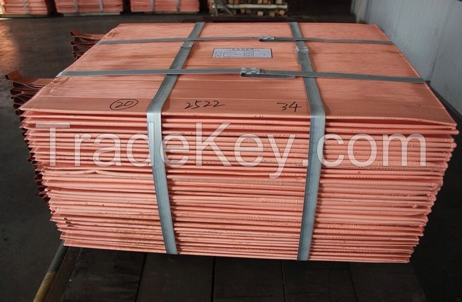 99.99% pure copper cathode for export