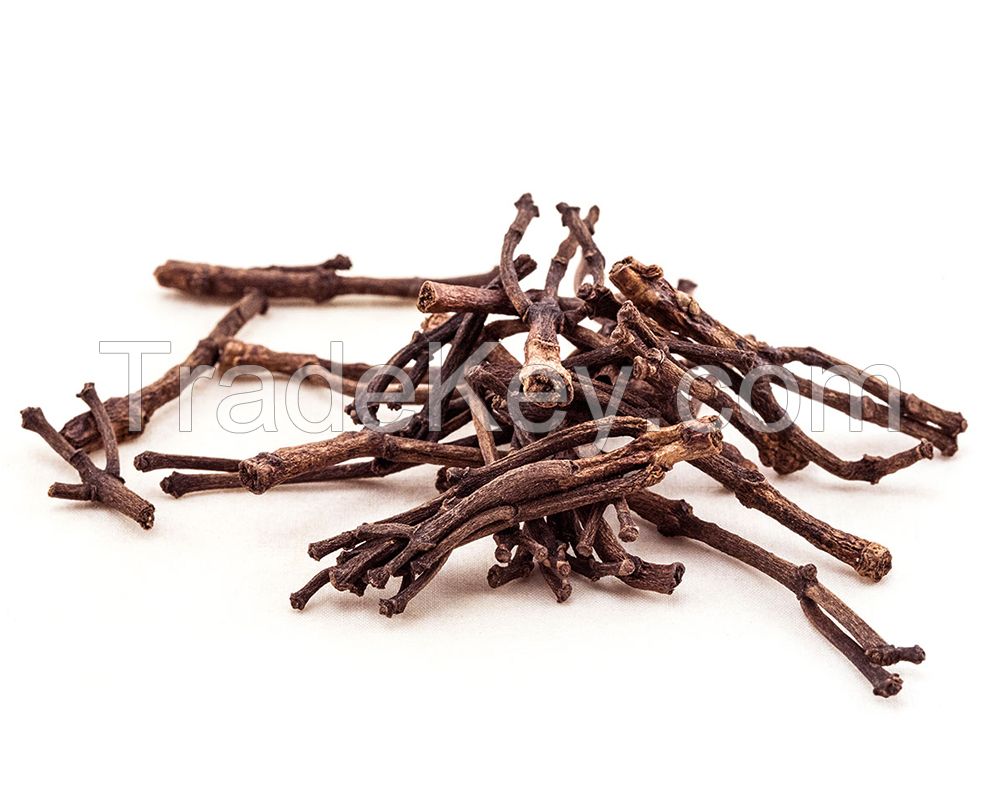Aromatic cloves for seasoning and essential oil extraction