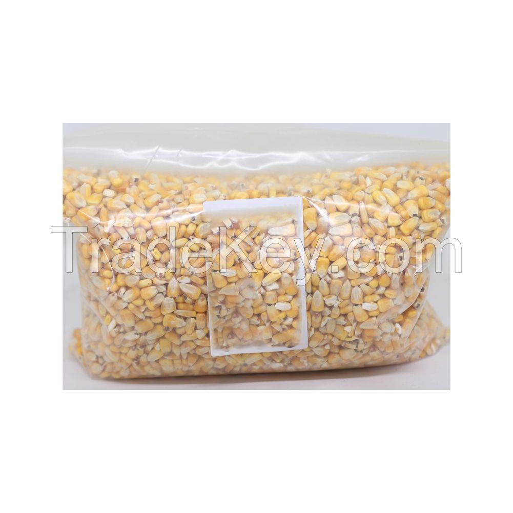 Premium yellow corn for sale in bulk at a low price