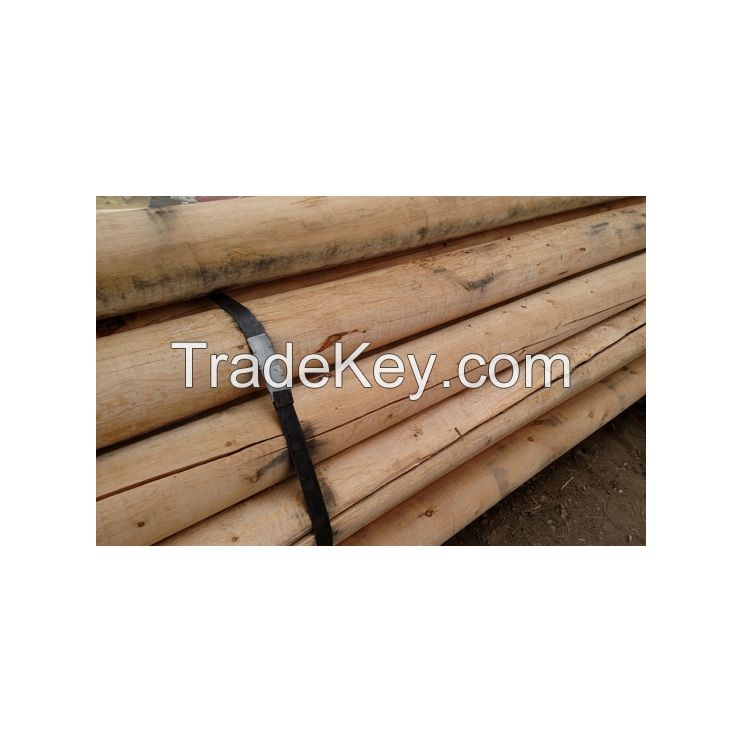 High-quality pine wood poles for construction and fencing