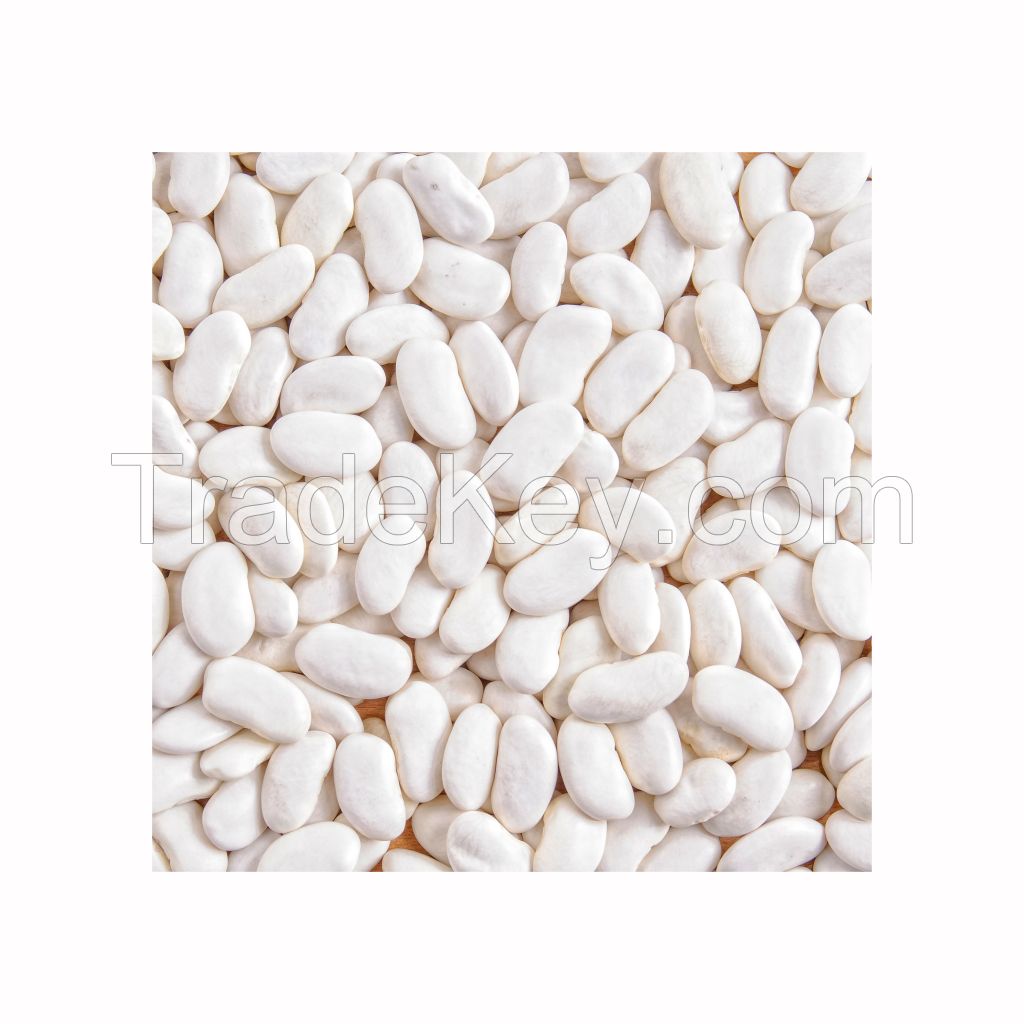 Affordable white kidney beans for food supply chains