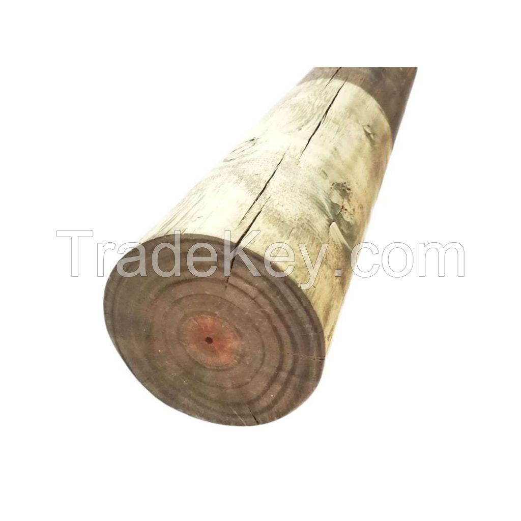 High-quality pine wood poles for construction and fencing
