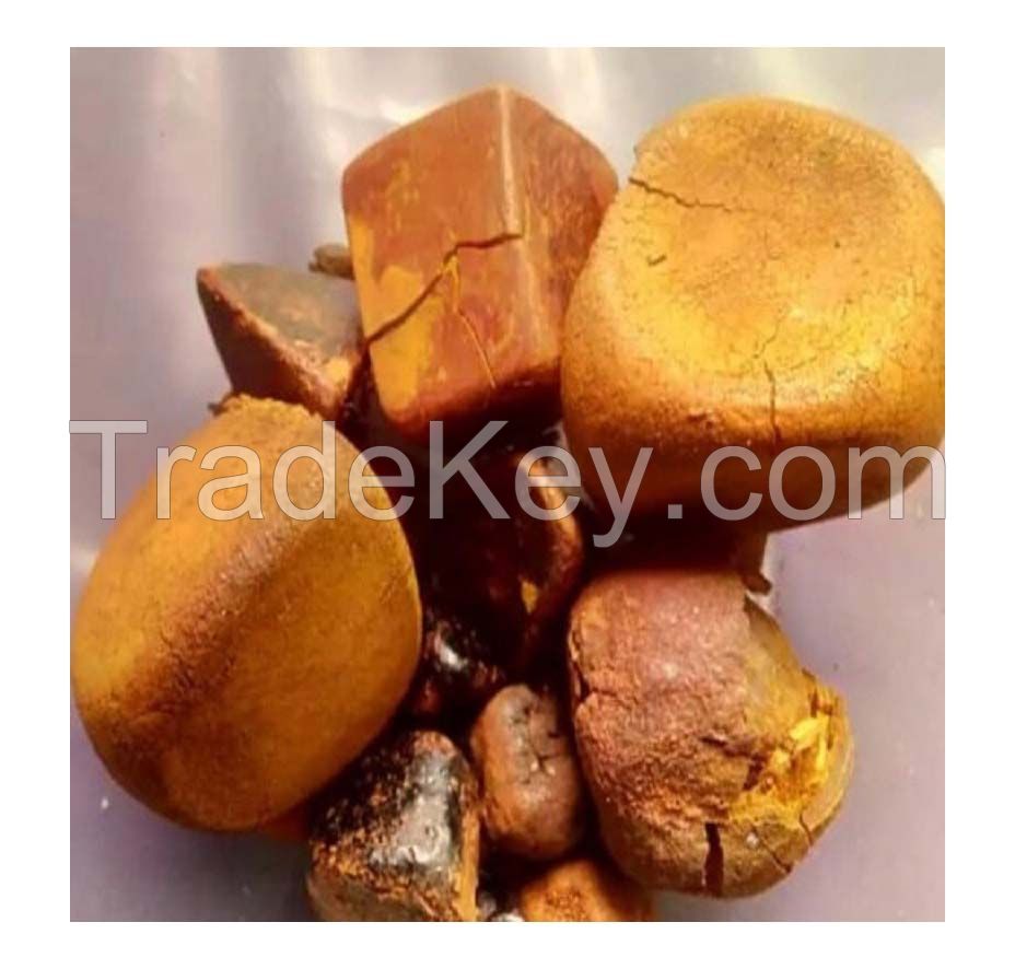 Well-preserved ox gallstones for long-term storage