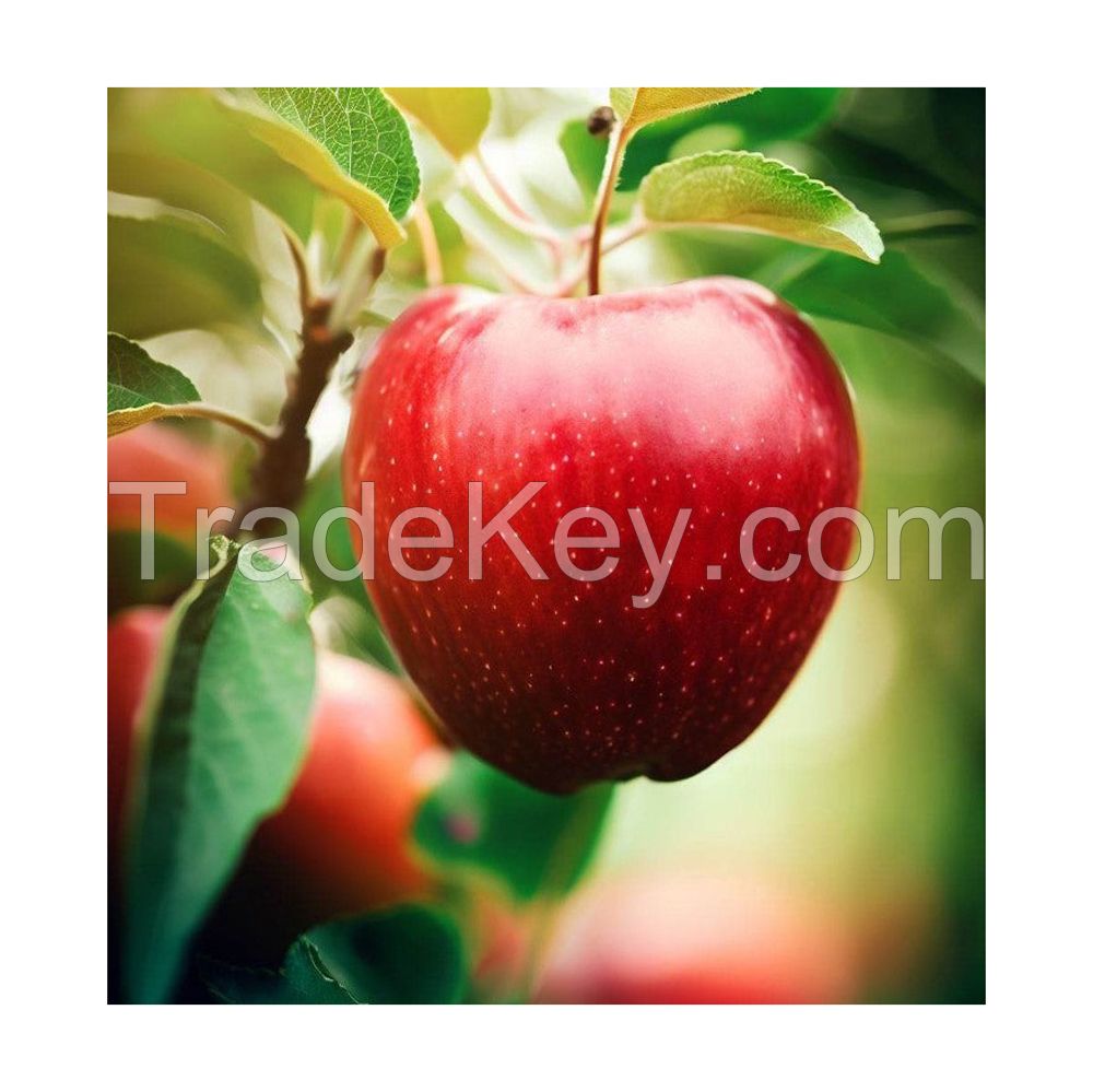 Organic red apples for health-conscious consumers
