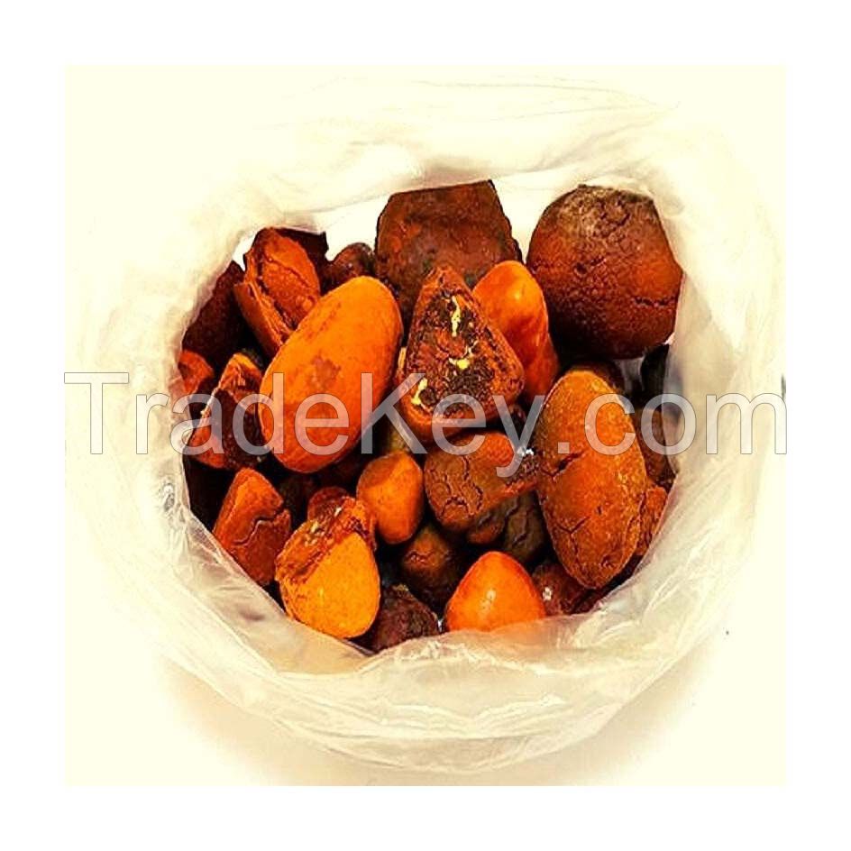 High-grade ox gallstones for international trade