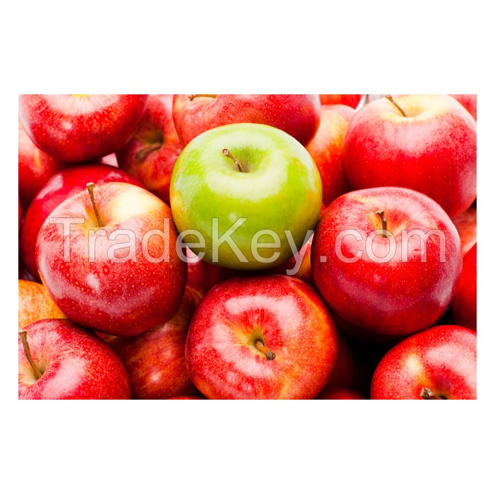 Wholesale red apples bulk supply premium quality available