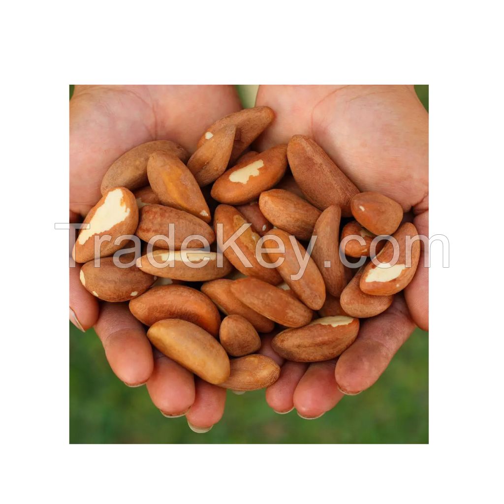 Fresh Brazilian nuts for cooking and snacking at competitive rates