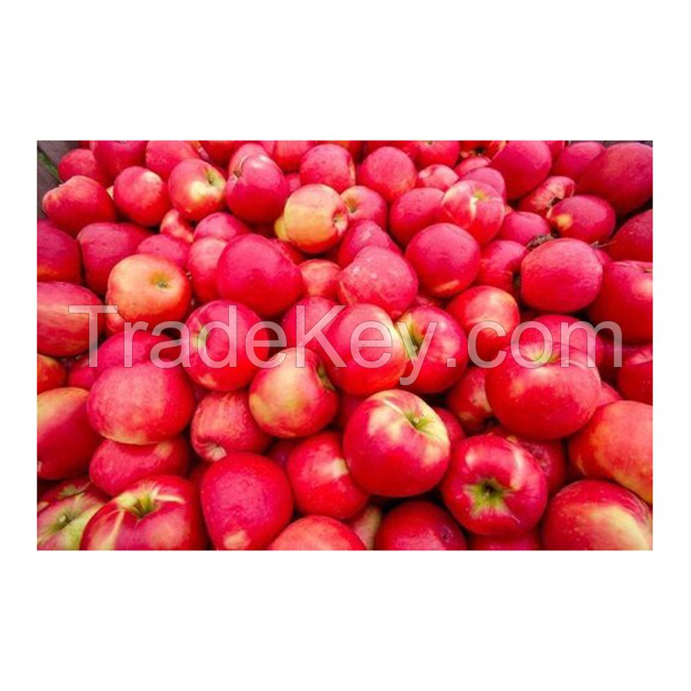 Farm-fresh red apples available at competitive rates
