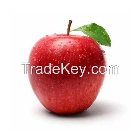 Handpicked red apples for sale in large quantities