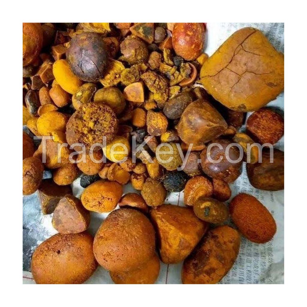 High-grade ox gallstones for international trade