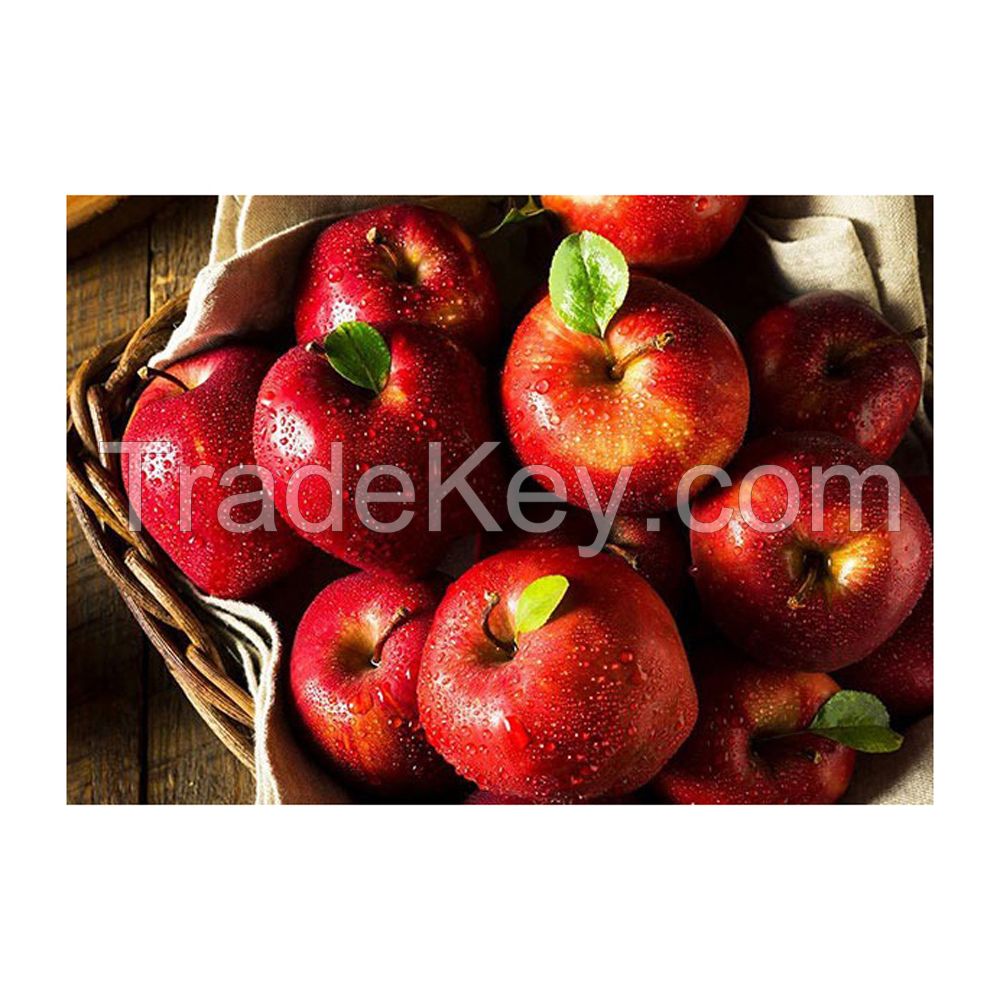 Wholesale red apples for international trade and supply