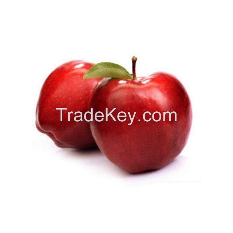 Farm-fresh red apples available at competitive rates