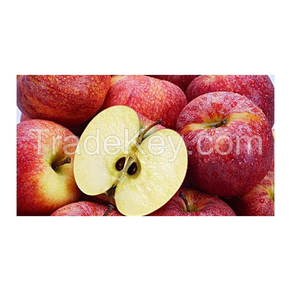 Fresh red apples for supermarkets and grocery stores