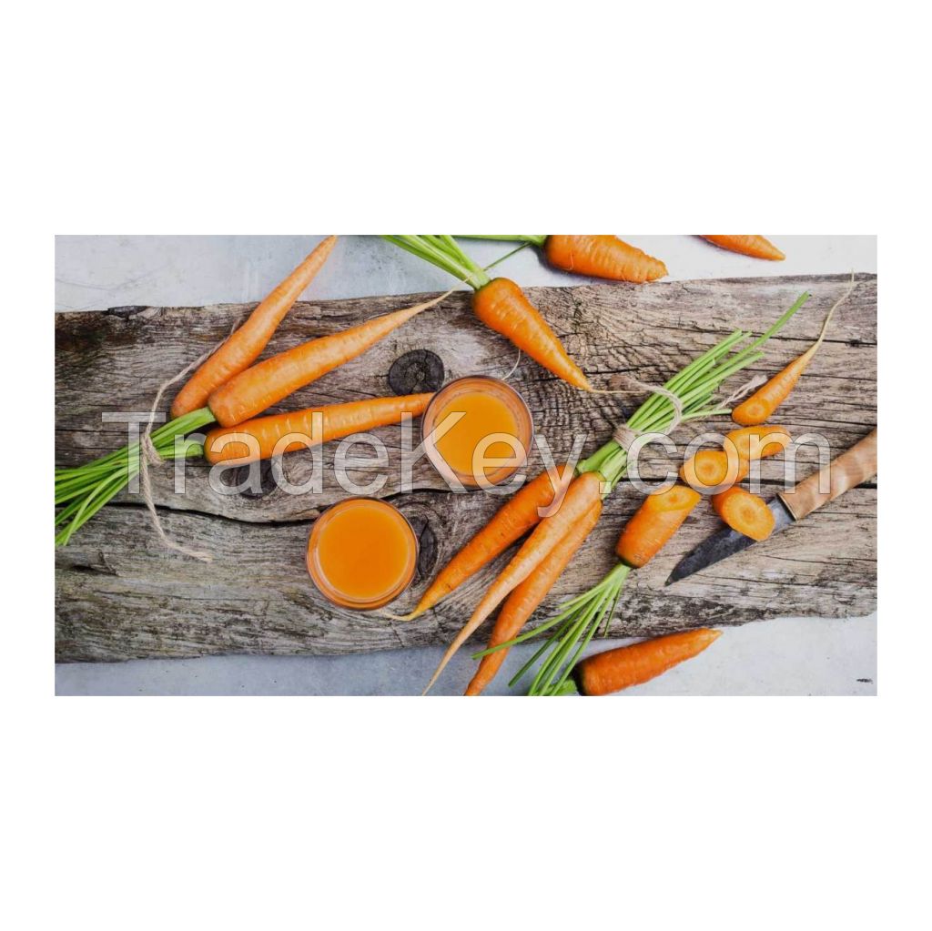 Crisp and sweet carrots perfect for cooking and snacking