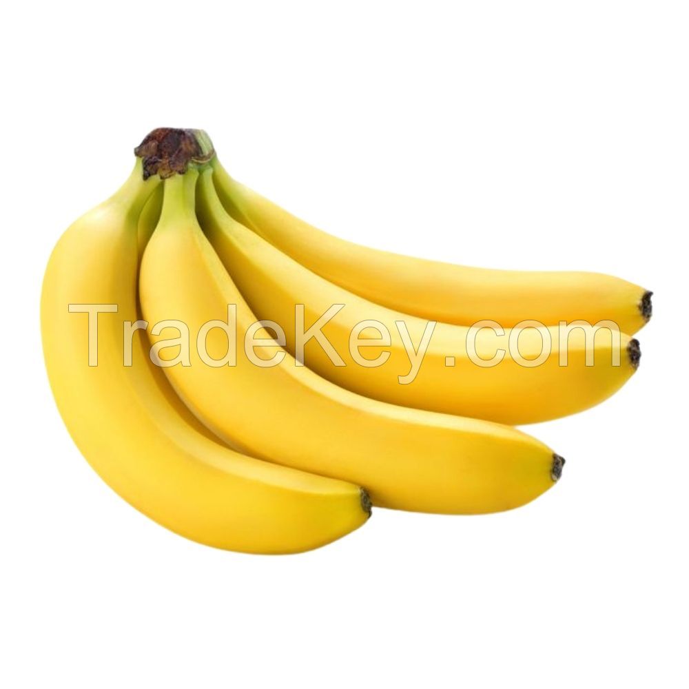 Bulk fresh bananas for food processing industries