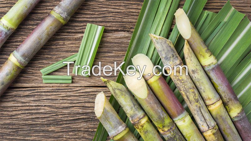 Bulk sugarcane supply for industrial and commercial use