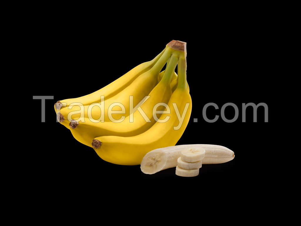 Bulk fresh bananas for food processing industries