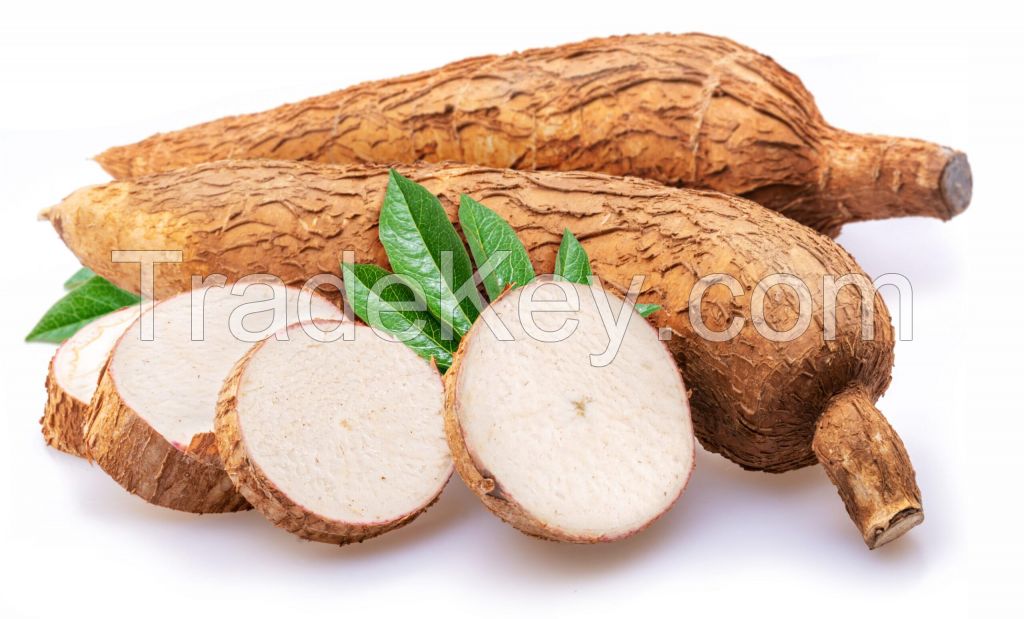 Locally sourced cassava for farm-to-table freshness