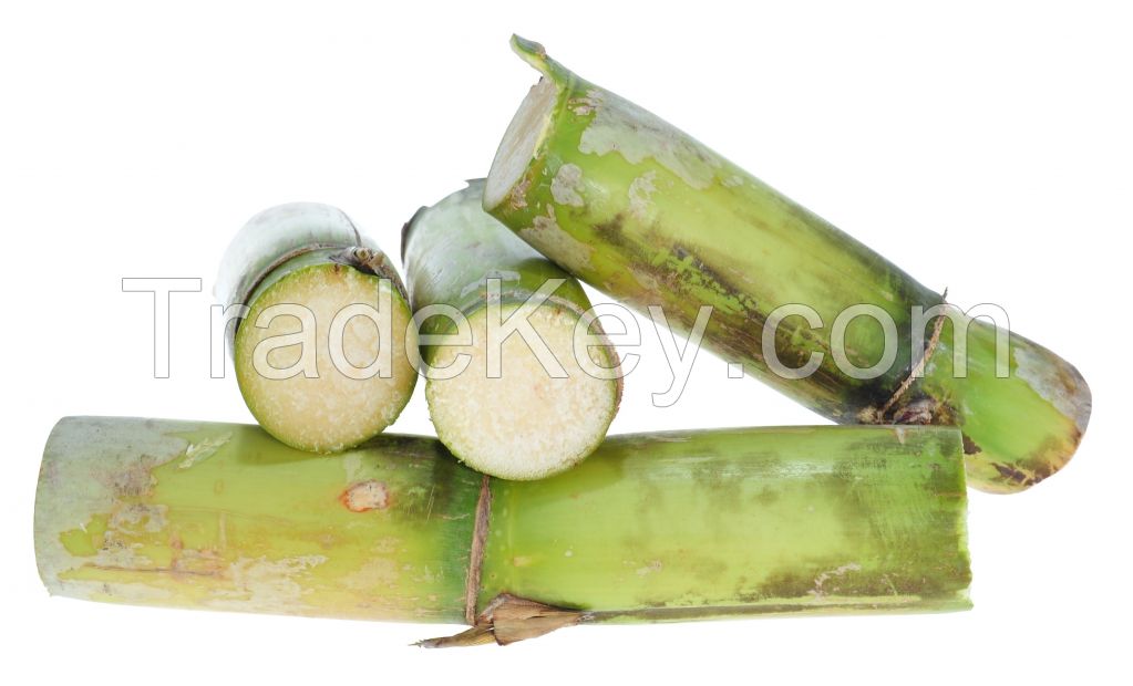 Bulk sugarcane supply for industrial and commercial use