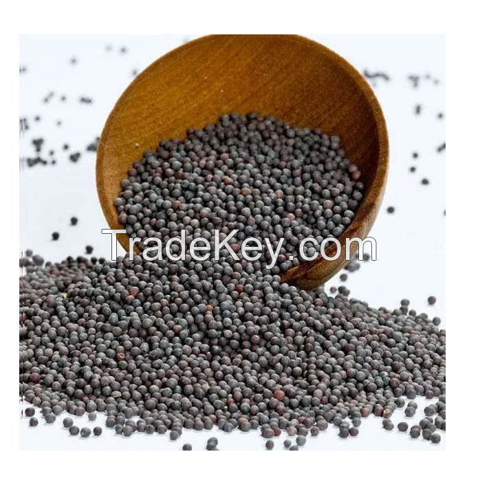 Cleaned and sorted rapeseed for easy processing