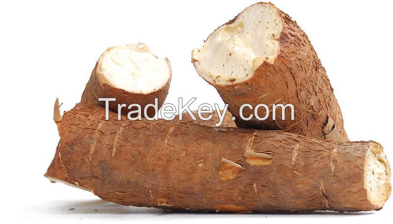 Locally sourced cassava for farm-to-table freshness