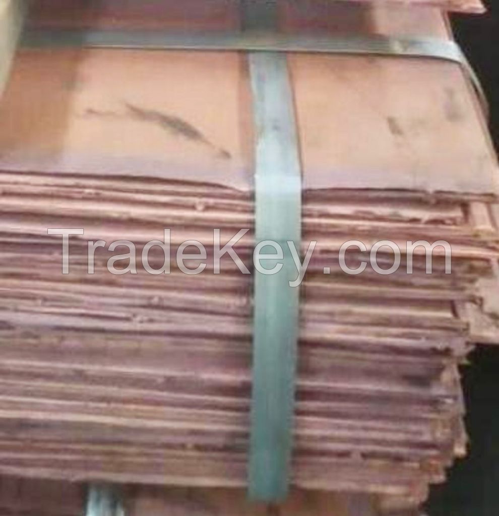 copper cathode 