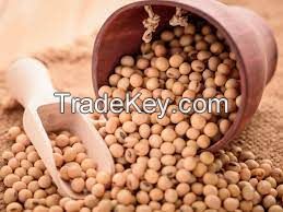 Soybeans