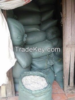 Tilapia Fish Washed Scales for Extracting Collagen