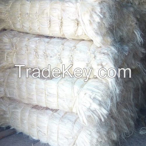 Sisal Fiber