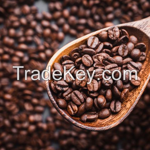 Robusta coffee bean