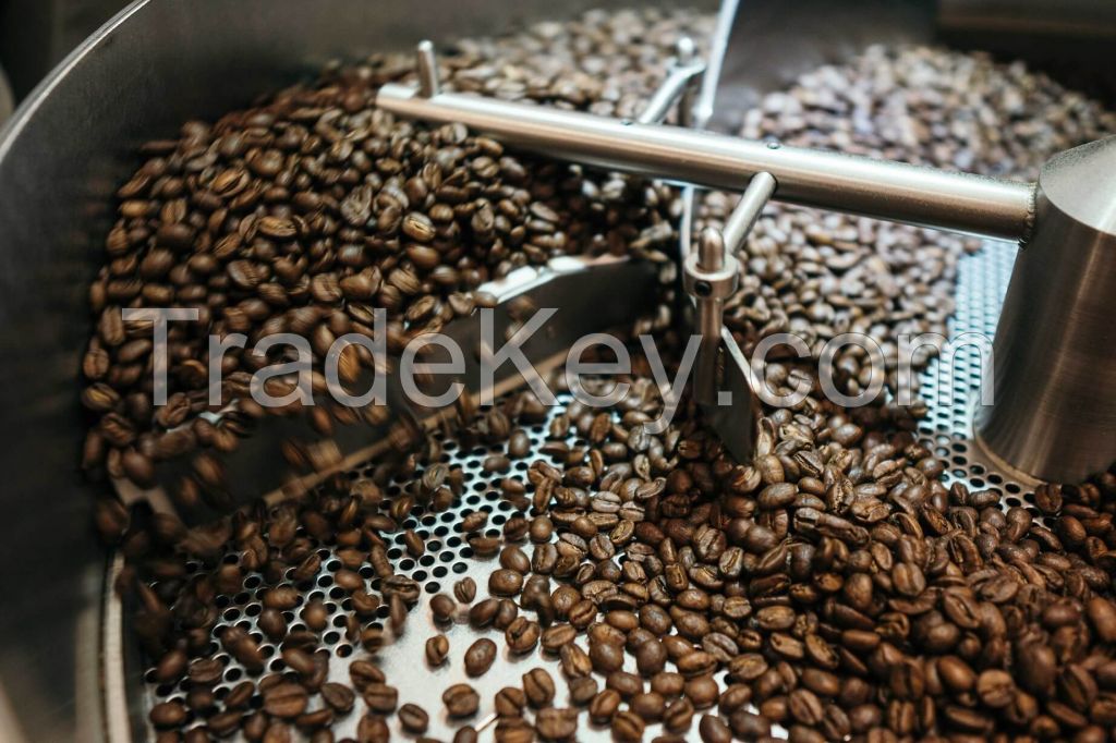 Robusta coffee bean