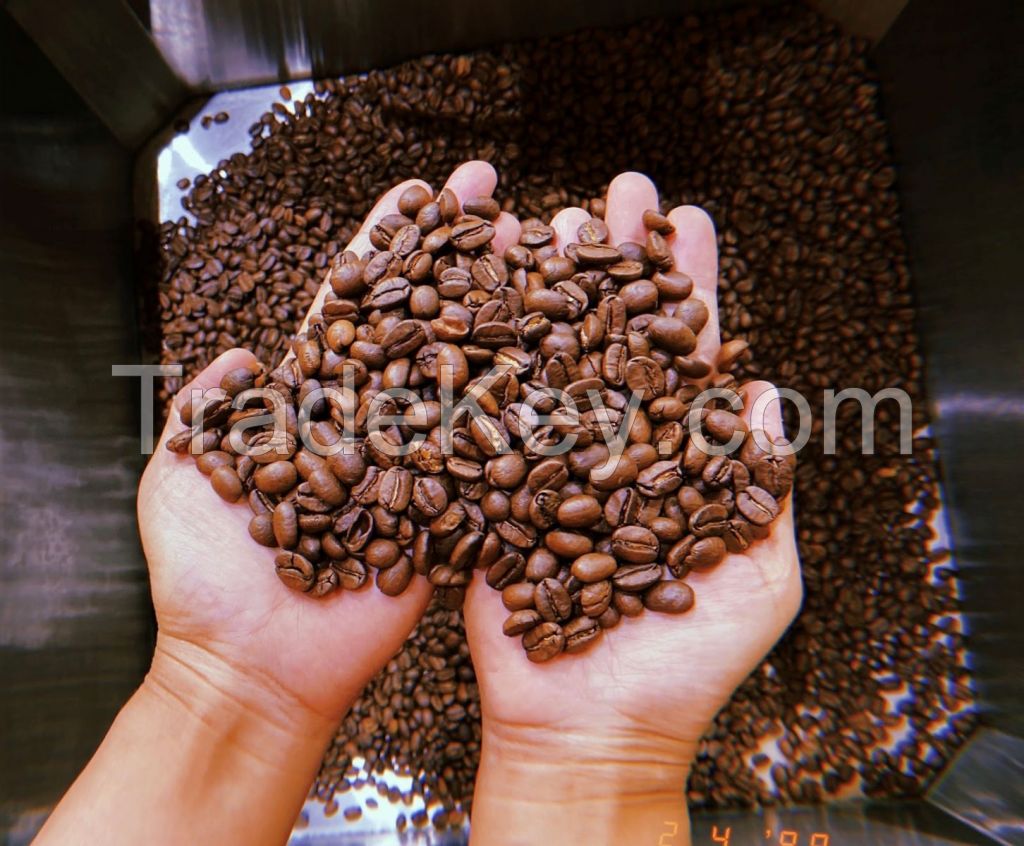 Robusta coffee bean