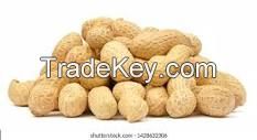 Groundnuts / Peanuts