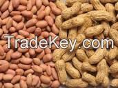 Groundnuts / Peanuts