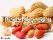 Groundnuts / Peanuts